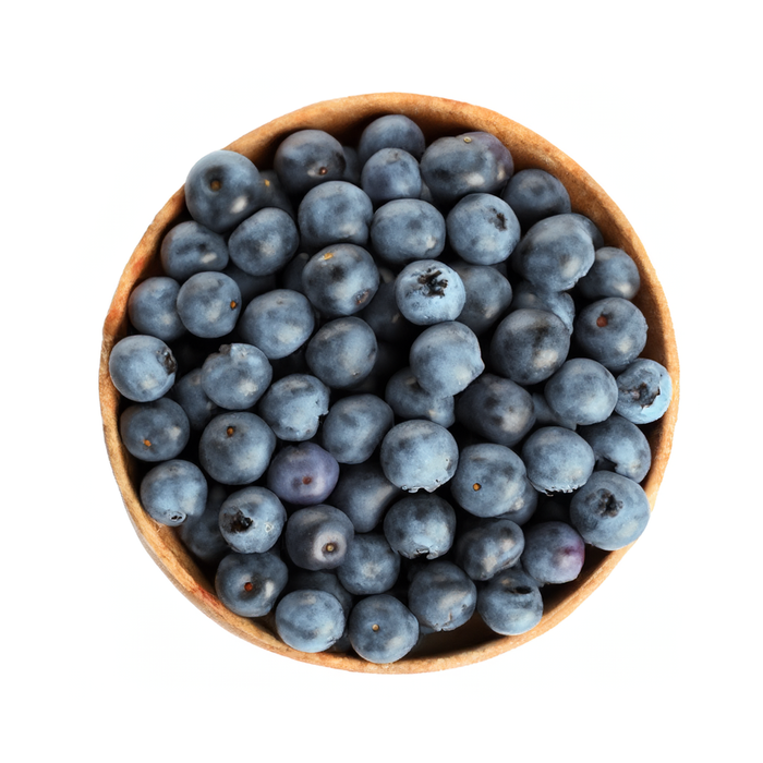 The Flavor Apprentice - Blueberry (Wild)